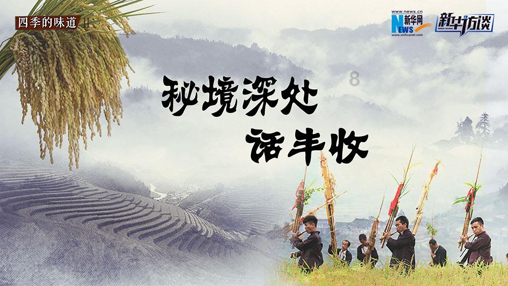 细胞分裂4