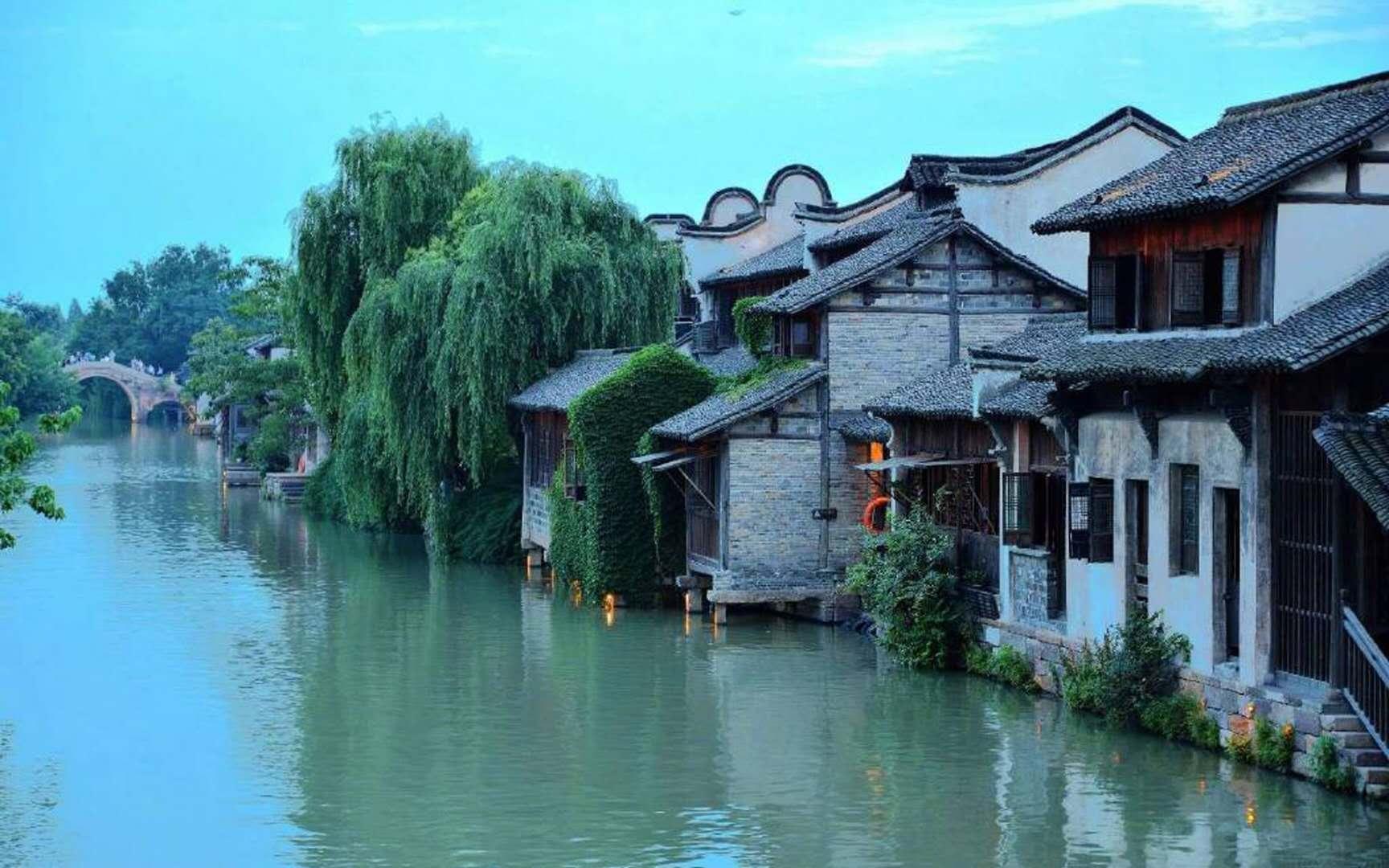 中药中的宝贵之物——川芎,为何受运动神经元患者如此追捧?